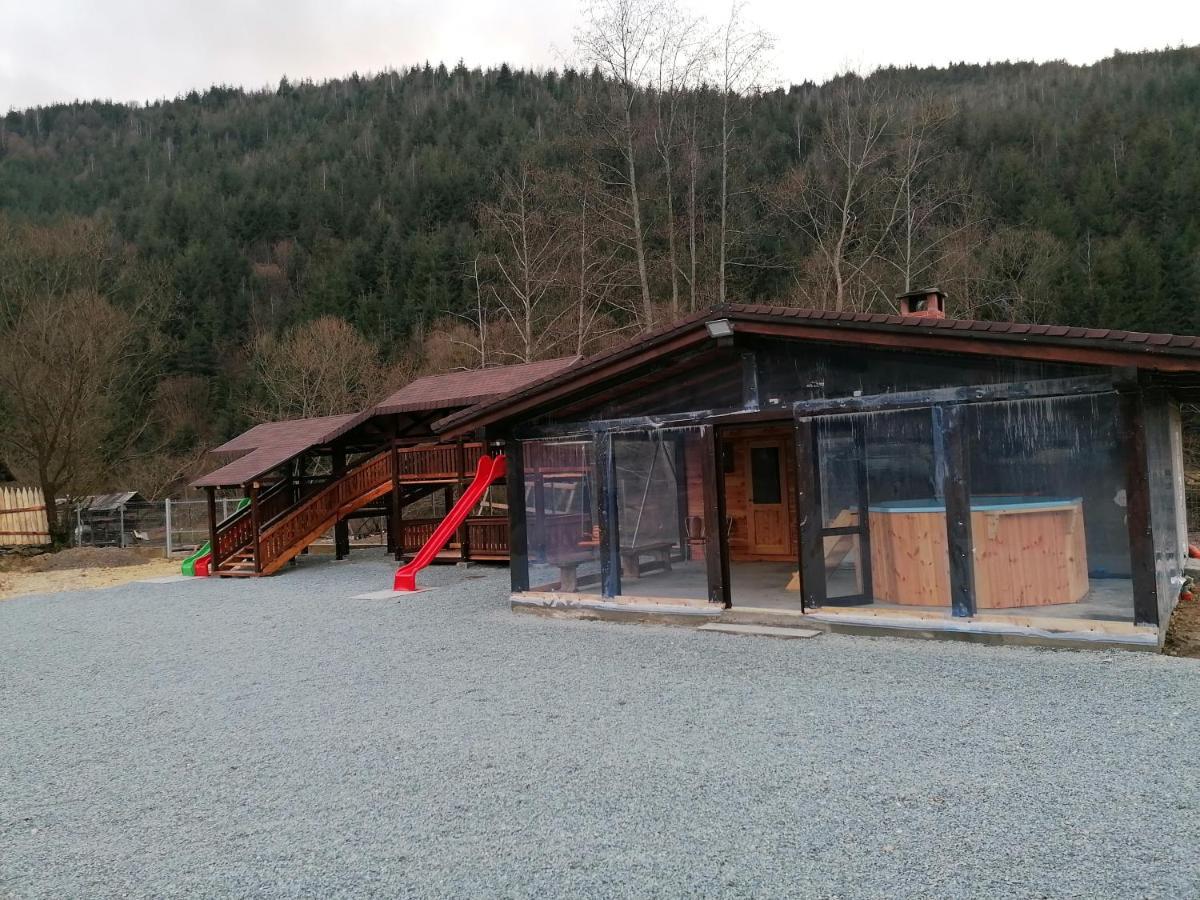 Pensiunea Armonia Albac Extérieur photo